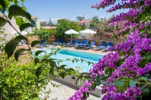 una piscina con sillas azules y flores púrpuras en Solon Apartments en Maleme