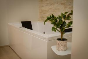 a white office with a plant in a vase at Le Suite del Corso in Syracuse
