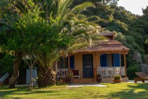 Κήπος έξω από το Salty Paradise House
