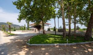 a house with a yard with trees and a driveway at A Ponte Studios & Apartments in Sykia Chalkidikis