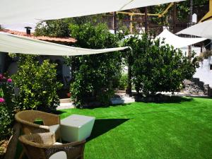 A garden outside Casa Fuente Hervera