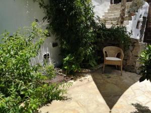 A garden outside Casa Fuente Hervera