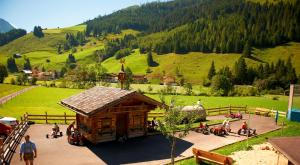 Příroda nedaleko hotelu