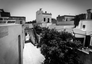 Foto dalla galleria di Il Galletto bb a Patù