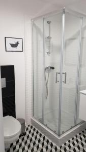 bagno con doccia in vetro e servizi igienici. di Apartament Turkusowy Ruciane-Nida a Ruciane-Nida