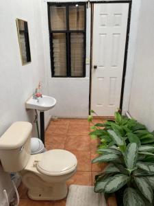 bagno con servizi igienici, lavandino e pianta di Hotel Cortez Azul a Alajuela