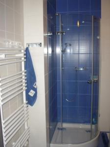 a shower with a glass door in a bathroom at Apartament Bosmański in Puck