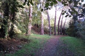 un camino de tierra a través de un bosque con árboles en Maison Chêne Liège, en Maureillas