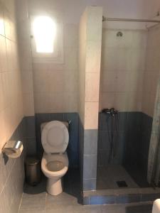 a bathroom with a toilet and a shower at Anna House Palouri in Paliouri