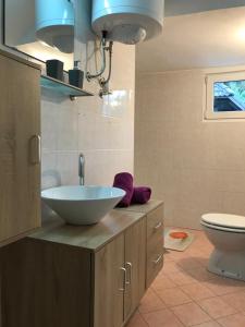 un baño con lavabo e inodoro en Apartma EVA&MATIC, en Kranjska Gora 19 fotos más