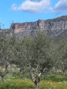 Fotografia z galérie ubytovania Elaias Gea -Kalampaka v destinácii Kalabaka