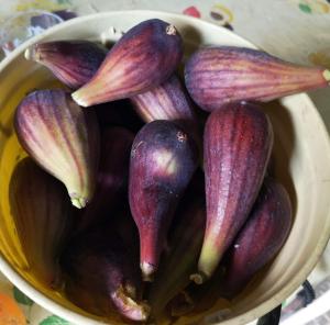 Makanan di atau di tempat lain dekat guest house