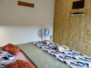 a bedroom with a bed with a fan and a tv at Pousada Rural Ouro Verde in Eldorado +179 photos