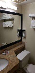 a bathroom with a mirror and a toilet and a sink at MHO Hotel Bordentown in Bordentown