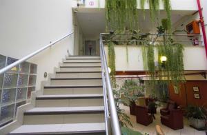 a staircase in a building with plants at Casa Fanning Hotel in Lima