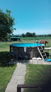 - une petite piscine avec une échelle à côté d'un champ dans l'établissement La Porte, Rose View Gite, à Courson