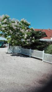 une clôture blanche et un arbre avec des fleurs dans l'établissement La Porte, Rose View Gite, à Courson