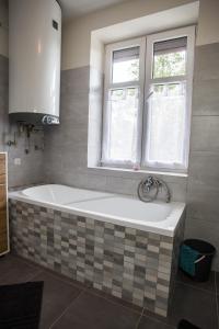 Apartmány Ve Mlejně tesisinde bir banyo