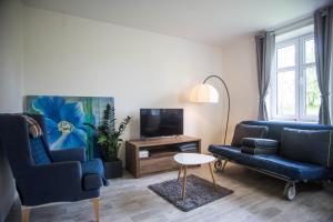 TV a/nebo společenská místnost v ubytování Apartmány Ve Mlejně