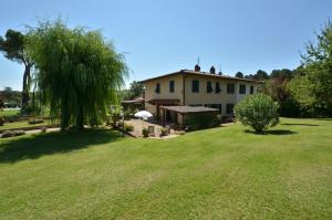 a large yard with a large house and a tree at Casa Il Pino in Cavriglia