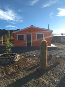 una casa con un cactus delante de ella en Cabaña Los Molles en Cachí