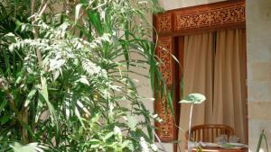 Zahrada ubytování Arya Homestay