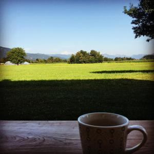 una taza de café sobre una mesa con vistas a un campo en B&B Woodhouse, en Brezje