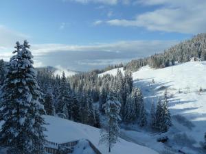 Bruckerhütte durante o inverno