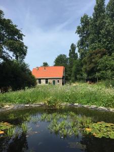 a house with a red roof next to a pond at Het Kunstenaarshuis in Kamperland
