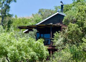 une cabane dans les bois entre arbres dans l'établissement Kokopelli farm, à Magaliesburg