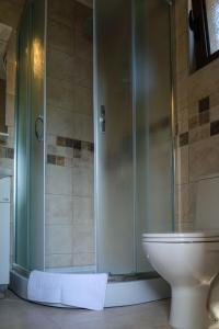 a bathroom with a shower and a toilet at Villa & Apartments Perasto in Perast