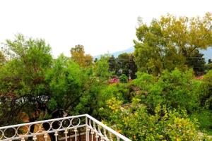 A garden outside luxurious apartments Angelina