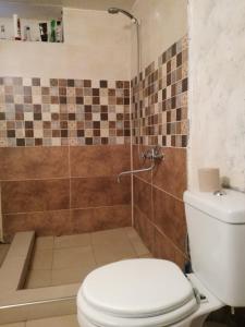 een badkamer met een toilet en een douche bij Farmer's Guest House in Telavi