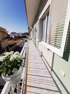 Balkón nebo terasa v ubytování Tra Sole e Mare