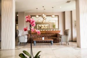 Posezení v ubytování A Hoteli - Hotel Slatina
