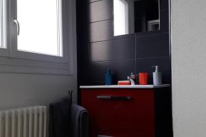 洛里昂的住宿－Studio Confort Lorient Place Jules Ferry Hypercentre，一间带红色水槽和镜子的浴室