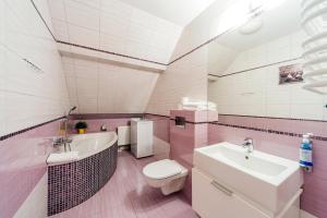 a bathroom with a sink and a toilet and a tub at Apartamenty EverySky - Leśny Dom 16 - 18 in Karpacz +109 photos