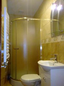 a bathroom with a shower and a toilet and a sink at Nad Młynówką in Stronie Śląskie