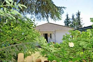 Zahrada ubytování Ferienhaus Falkenhagen mit Garten + 16 fotografií