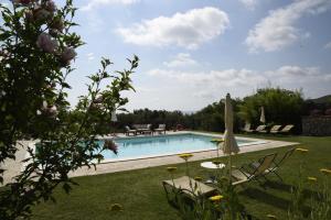Bazén v ubytování Agriturismo Il Caggio nebo v jeho okolí