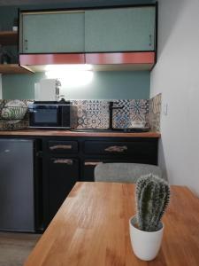 a cactus sitting on a wooden table in a kitchen at COUP DE COEUR Studio in Rivedoux-Plage
