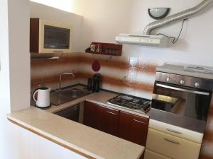 Kuchyň nebo kuchyňský kout v ubytování Apartment Tanja
