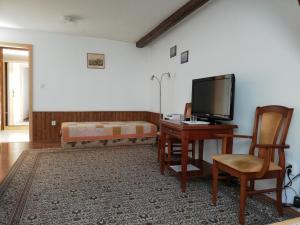 Český Brod的住宿－Pension U kostela，客厅配有书桌、电视和床