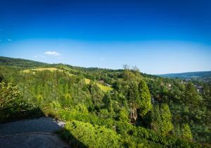 an aerial view of a hill with trees and a river at Villa Brody in Wisła