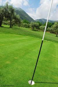 Otel veya yakınında golf olanakları