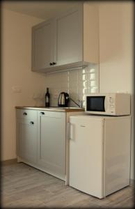 Kjøkken eller kjøkkenkrok på Center Studio Funtana
