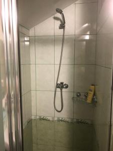 y baño con ducha con cabezal de ducha. en Ubytovanie U Emila, en Veľká Franková