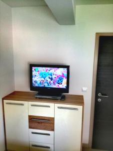 TV a/nebo společenská místnost v ubytování Beach apartment in Mandre