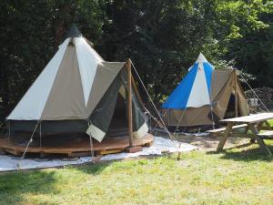 Deux tentes assises dans l'herbe à côté d'une table de pique-nique dans l'établissement Les roulottes de Cambonis, à Bourret