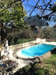 a swimming pool in a yard with a flowering tree at Maison Le Retour in Le Rouret